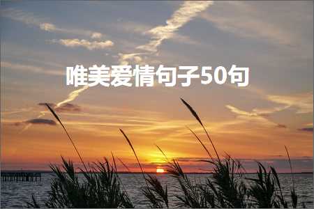 专业网站推广 唯美爱情句子50句（文案525条）